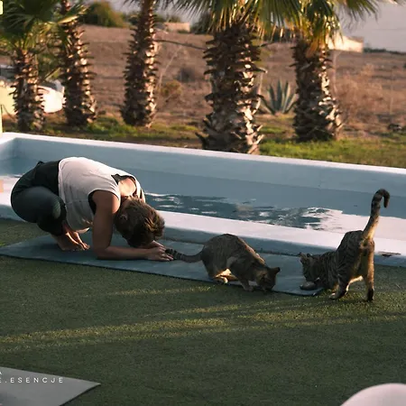 Twinfin Yoga Y Surfcamp - Adeje 2* Callao Salvaje